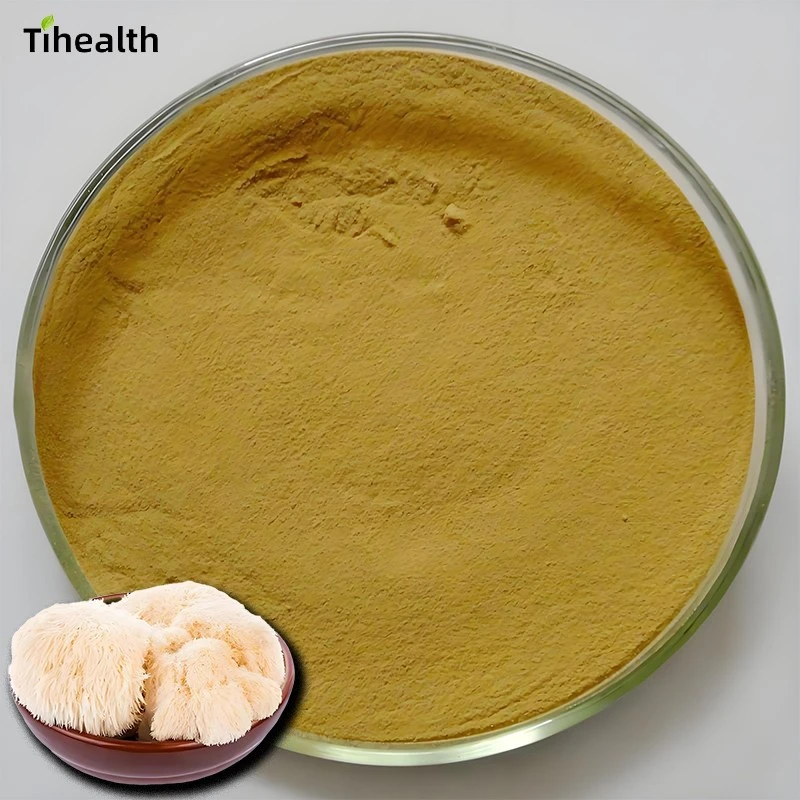 Lion’s Mane Mushroom Extract